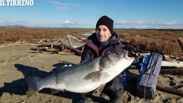 record mondiale di spigola